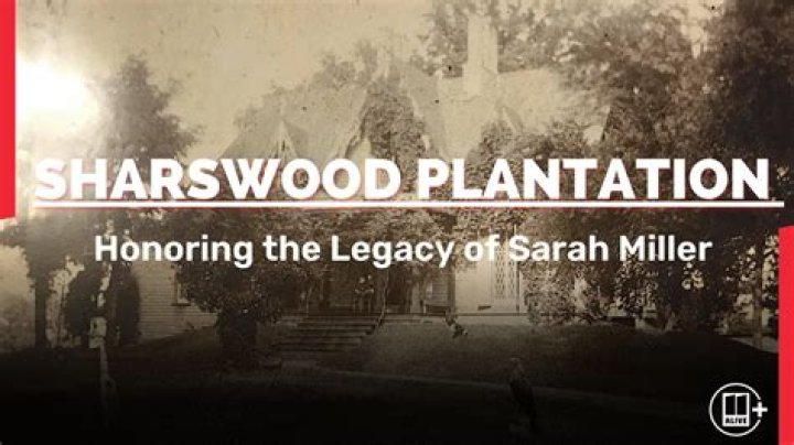 
60 Minutes Sharswood Plantation Story, Who Is Fred Miller and Where Does He Live? 