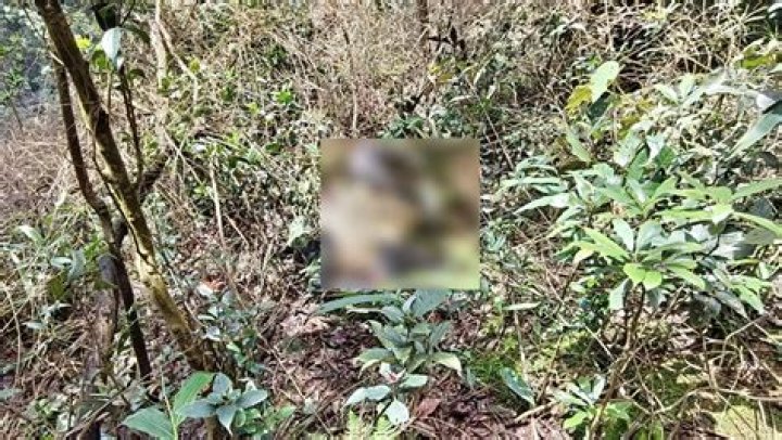 
Body of missing tourist in Kerala’s Munnar recovered 