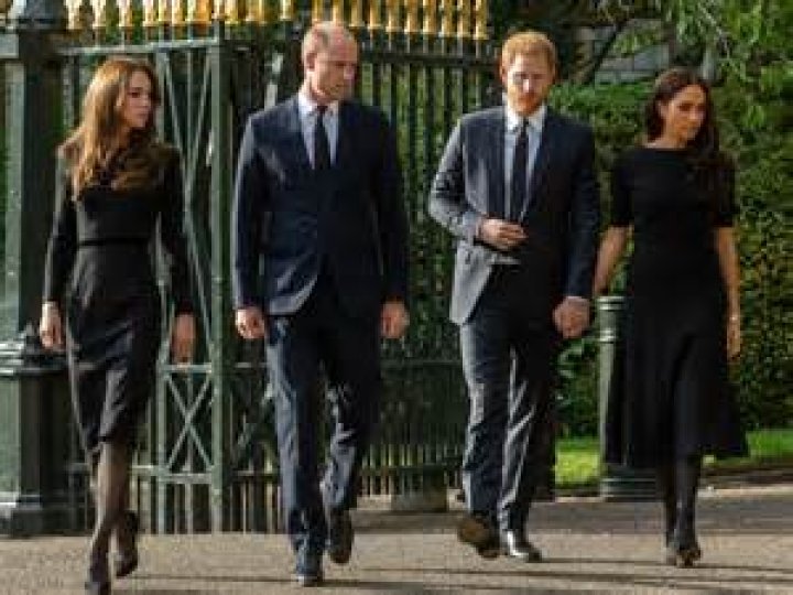Buckingham Palace Reacts To Prince Harry and Meghan Markle’s Shocking Announcement – Did They Not Tell Queen Elizabeth In Advance?