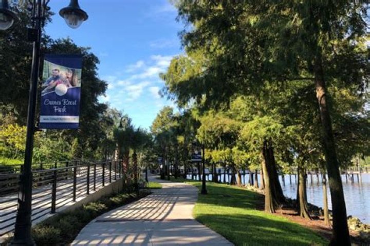 Directory of Physicians (MD/DO) in Altamonte Springs, Florida