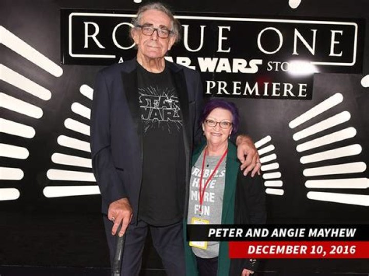 Mark Hamill Pays Tribute To Late Star Wars Co-Star Peter Mayhew