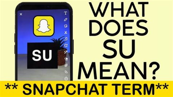 What Does Sus Mean on Tik Tok and Snapchat? Sus Meaning In Texting, Urban Dictionary
